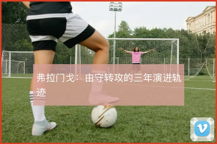 弗拉门戈：由守转攻的三年演进轨迹